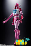 Soul of Chogokin GX-108 Rhein X1 & GX-11R Diana A
