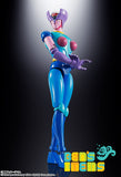 Soul of Chogokin GX-108 Rhein X1 & GX-11R Diana A