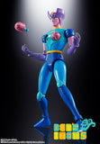 Soul of Chogokin GX-108 Rhein X1 & GX-11R Diana A