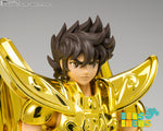 Myth Cloth EX Sagittarius Seiya -Inheritor of the Gold Cloth-