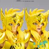 Myth Cloth EX Aquarius Hyoga -Inheritor of the Gold Cloth- (Pre Orden)