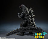 SH Monster Arts Godzilla [1989] -Movie Graphic Plus-