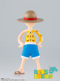 Luffy's Archive of Adventure Vol. 2