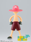 Luffy's Archive of Adventure Vol. 2