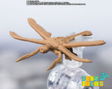 SH Monster Arts Megaguirus Evolution Set