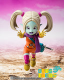 SH Figuarts Panji (Pre Orden)