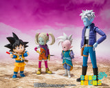 SH Figuarts Panji (Pre Orden)