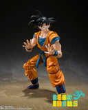 SH Figuarts Goku -Super Hero-